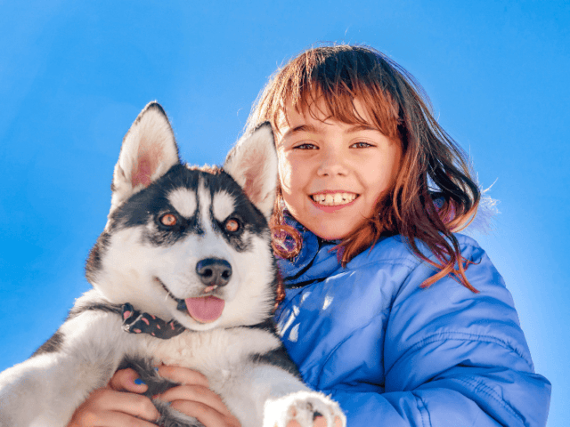 Colo de vacances Chiens de traîneaux où la jeune caresse un chien cet hiver