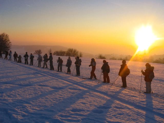 Balade en ski de fond durant la colo Chiens de traineaux et ski cet hiver