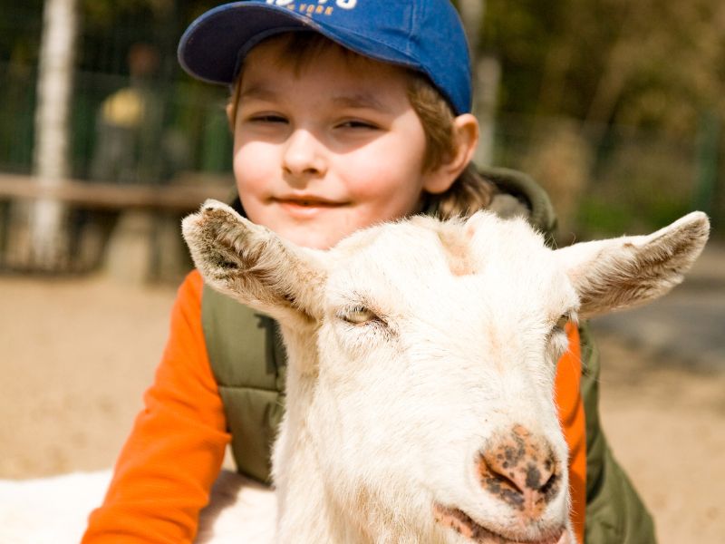 Colo de vacances à la ferme ce printemps durant laquelle les enfants s'amusent en compagnie des animaux