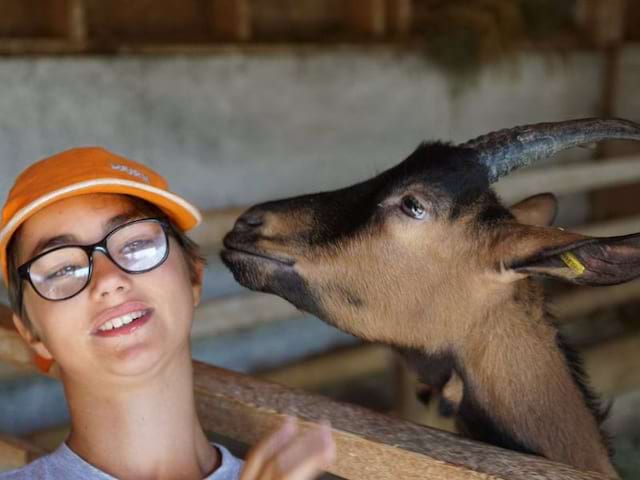 Visite d'une ferme cet hiver en colo de vacances sans ski