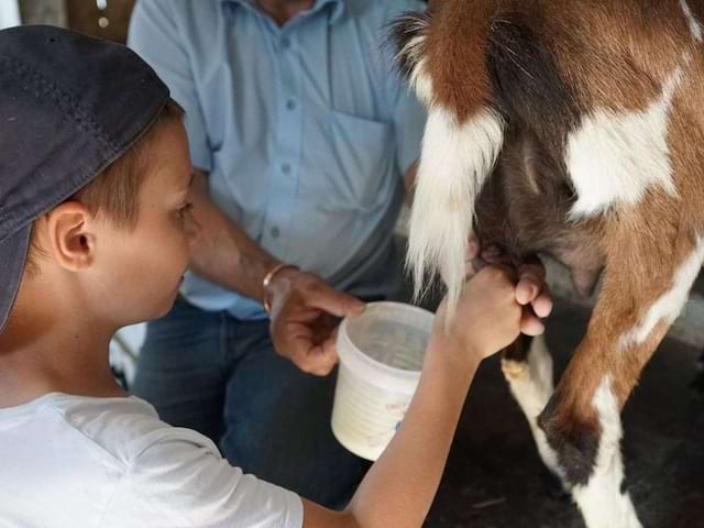 Visite d'une ferme en colo de vacances Yapaski cet hiver 