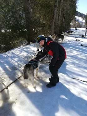 Enfant en colonie de vacances avec un chien de traineaux