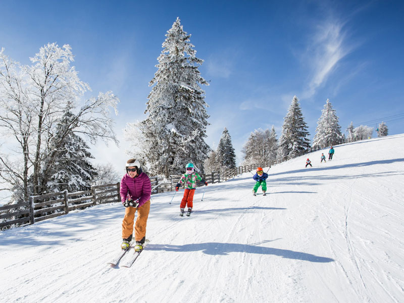 Vue sur un jeune qui skie en colonie de vacances JO d'hiver au chalet Nid Alpin