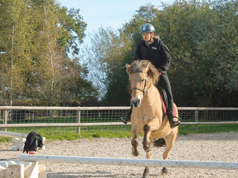 Colo Poney et Chevaux cet hiver où les jeunes peuvent pratiquer l'équitation de la meilleure des manières