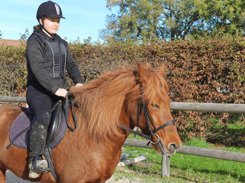 Jeune cavalière qui monte son cheval en colo de vacances cet hiver