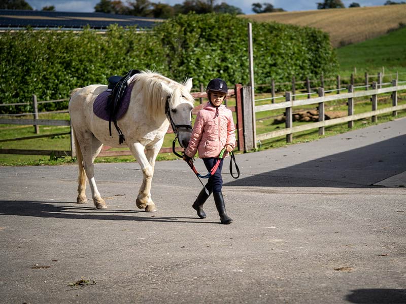 Vue sur une jeune et son cheval lors d'une colo de vacances d'hiver