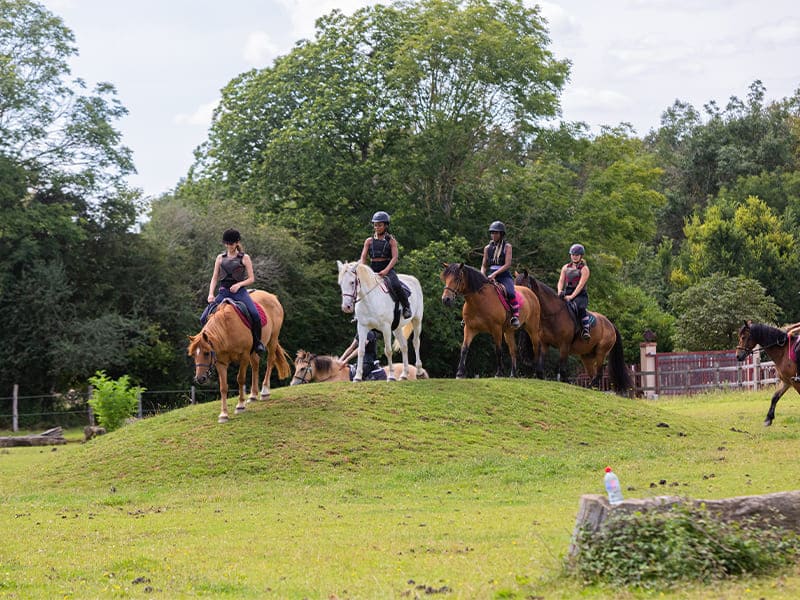 Enfants et chevaux dans le domaine équestre, en colo de vacances Equitation 