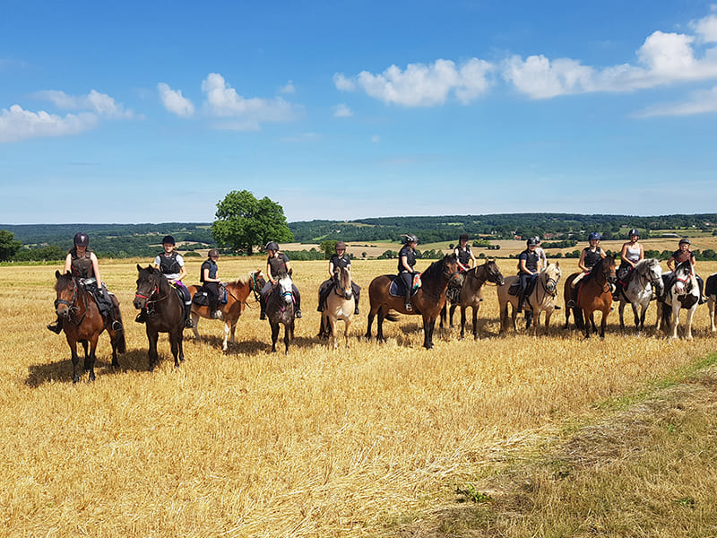 Vue sur des cavaliers dans un champs de blé lors d'une colo de vacances Equitation