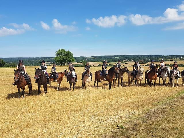 Vue sur des cavaliers dans un champs de blé lors d'une colo de vacances Equitation