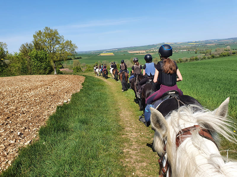 Balade équestre dans les champs lors d'une colo de vacances Equitation du printemps