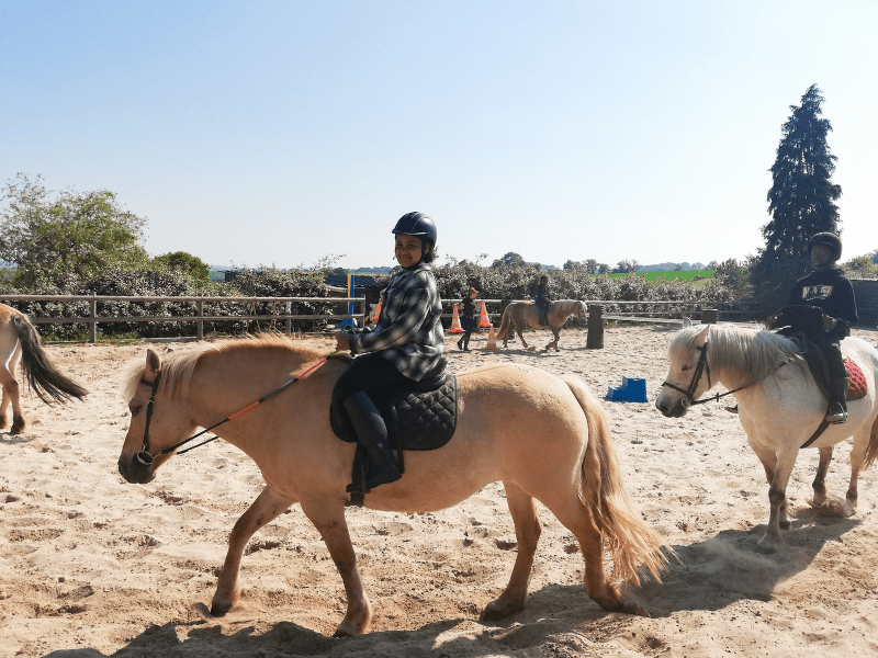 Session Equitation durant les vacances de la Toussaint en colo