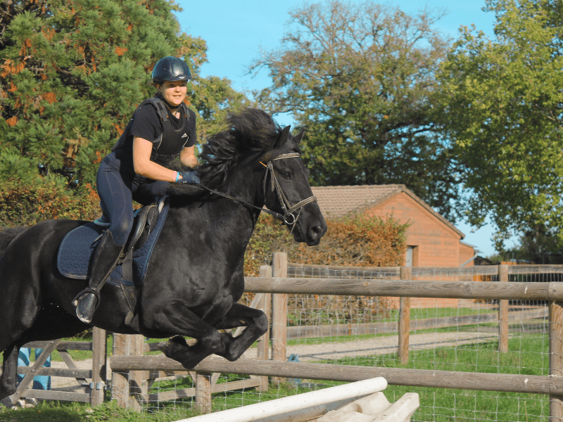 Colo de vacances Equitation cet automne pour les 8-15 ans