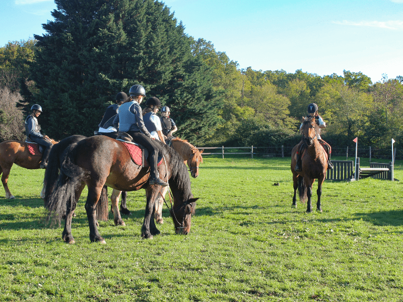 Enfants en camps de vacances Equitation 100% Nature et Poney à Noel