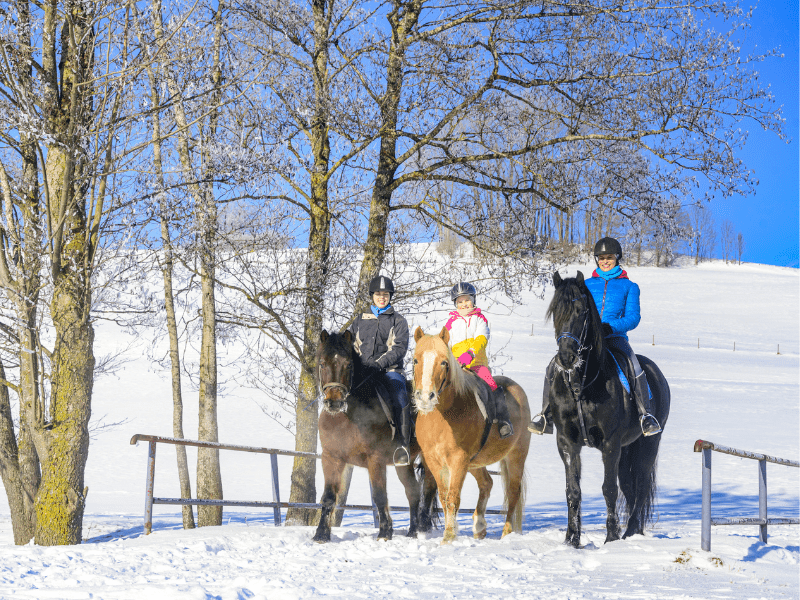 Colonie de vacances Equitation à Noel durant laquelle les enfants font des balades en pleine nature
