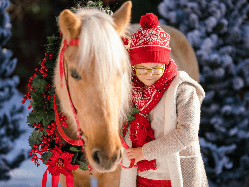Enfant qui caresse son cheval en colonie de vacances Equitation 100% Nature et Poney à Noel