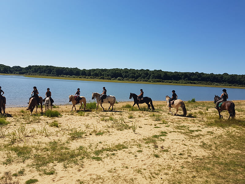 Cavaliers et chevaux dans l'eau lors d'une colo de vacances estivale dédiée à l'Equitation