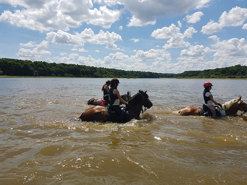 Chevaux et cavaliers dans l'eau lors d'une colo de vacances Equitation durant l'été