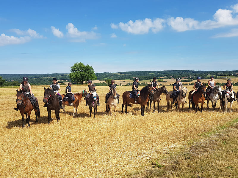 Cavaliers et leur monture dans un champs de blé en colo EquitAdventures