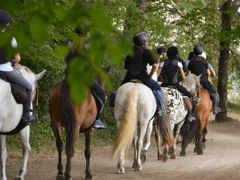 Groupe de jeunes en colo de vacances qui traverse les bois à cheval cet été 