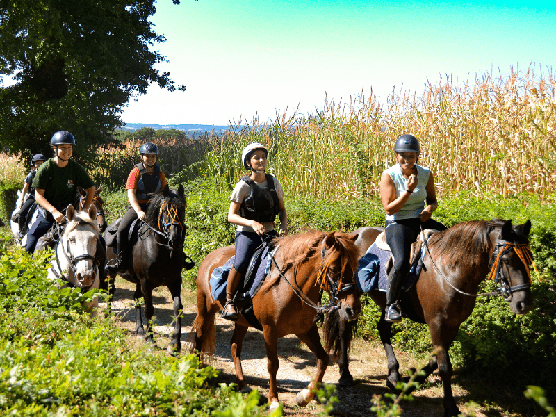 Groupe de jeunes en colonie de vacances Equitation qui traverse les champs 