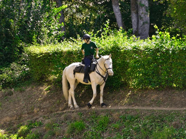 Cavalier en colo de vacances Equit'adventure cet été