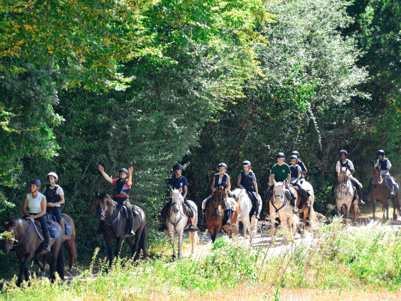 Groupe d'ados en colonie de vacances Equitation qui traverse la forêt à cheval