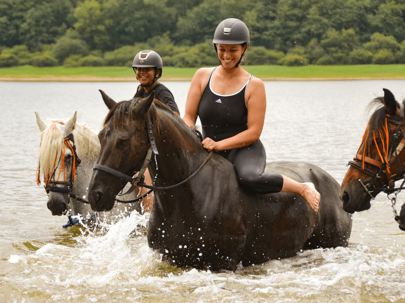 Session équitation dans les rivières en colonie de vacances Equitation cet été 