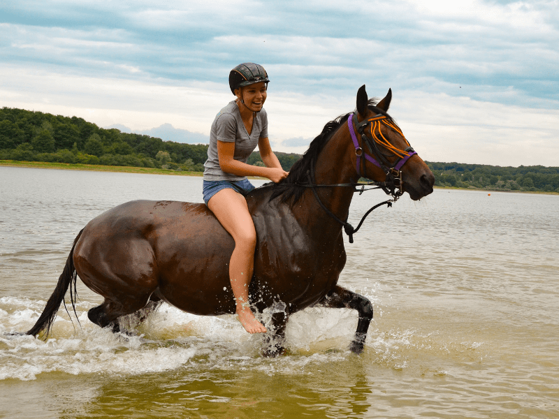 Jeune en colonie de vacances Equitation Equit'adventure cet été 