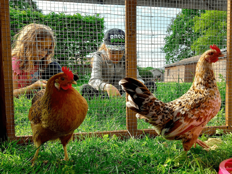 Enfants avec les animaux en colo de vacances Equitation ce printemps