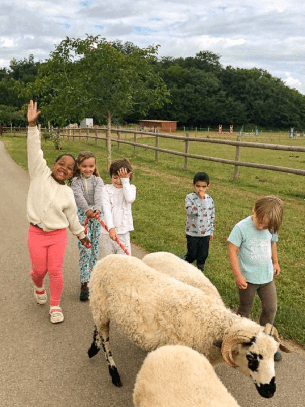 Jeunes en colo de vacances qui promènent des moutons cet été