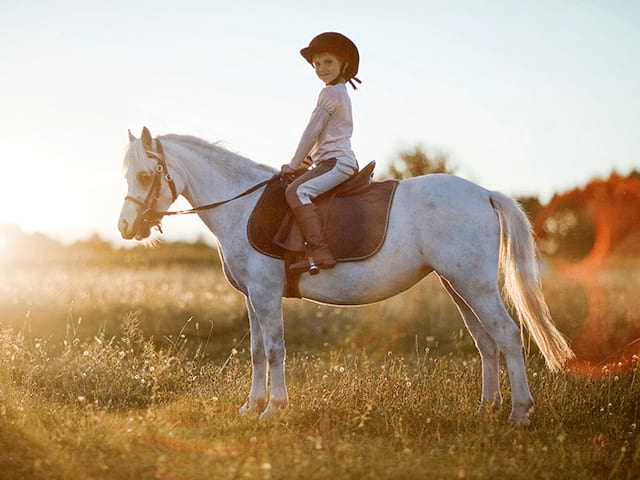 Session d'équitation en colo Poney cet automne au domaine de l'esperance