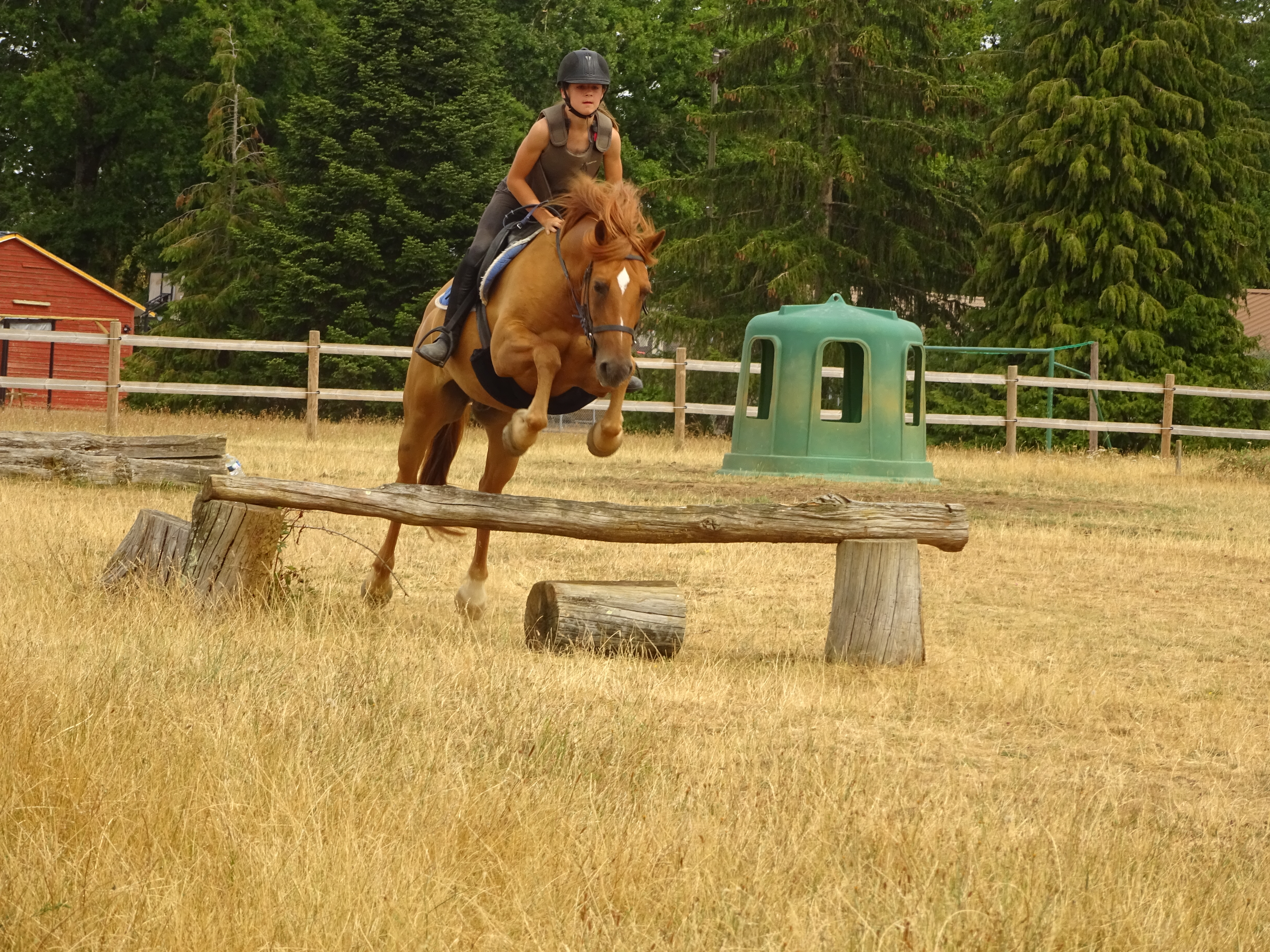 Adolescente pratiquant le saut d'obstacle à cheval en colonie de vacances équitation