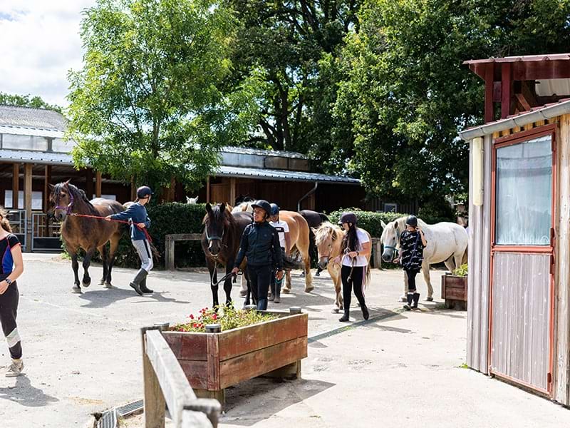 Box des chevaux au domaine de l'Espérance, centre de colonies de vacances 