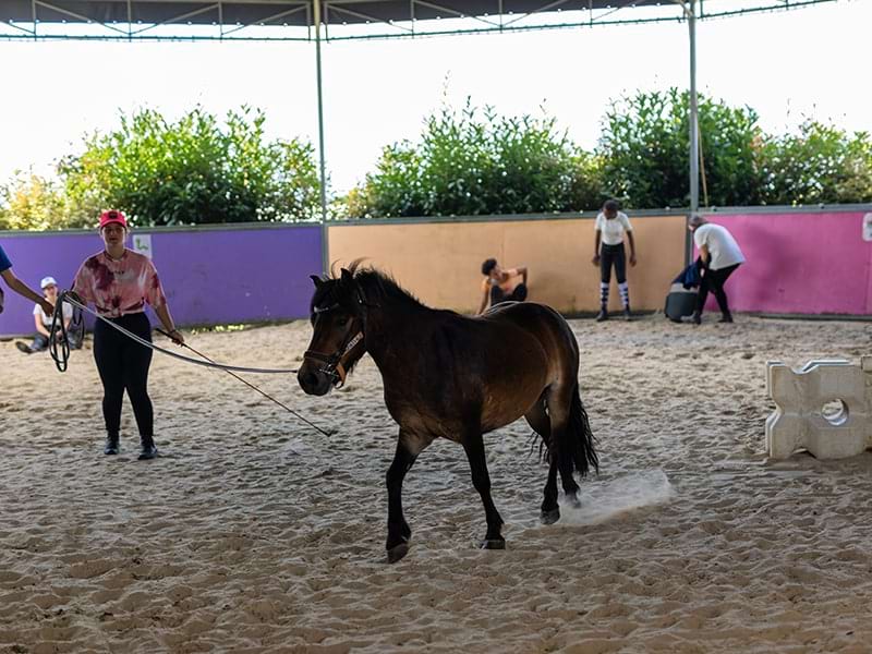 Poney dans le manège dans un centre de colo de vacances au domaine de l'Espérance