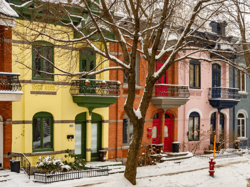 Murs colorés des rues de Montreal cet hiver