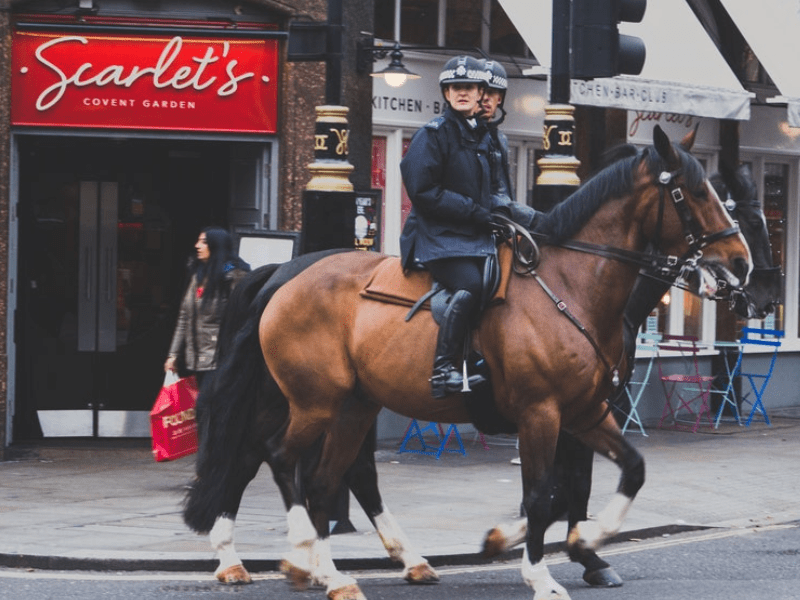 Policiers à cheval dans les rues londoniennes cet hiver