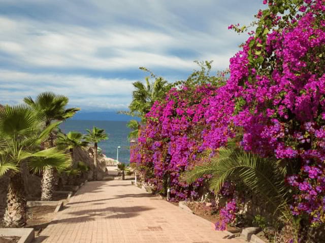 Vue mer à Tenerife, aux Iles Canaries, où les jeunes ados sont partis en colo de vacances cet hiver