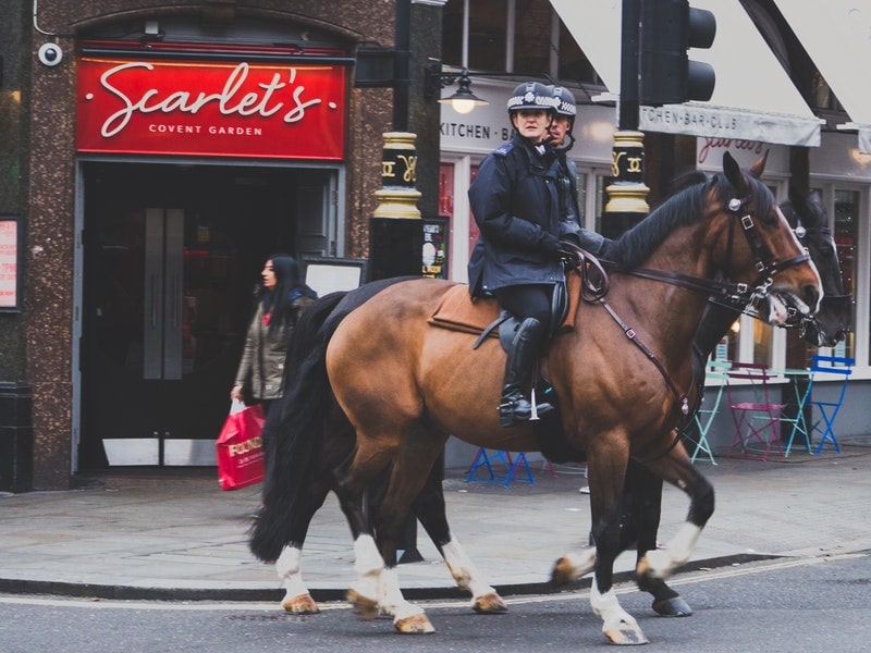 Vue sur des gardes londoniens à cheval lors d'une colonie de vacances