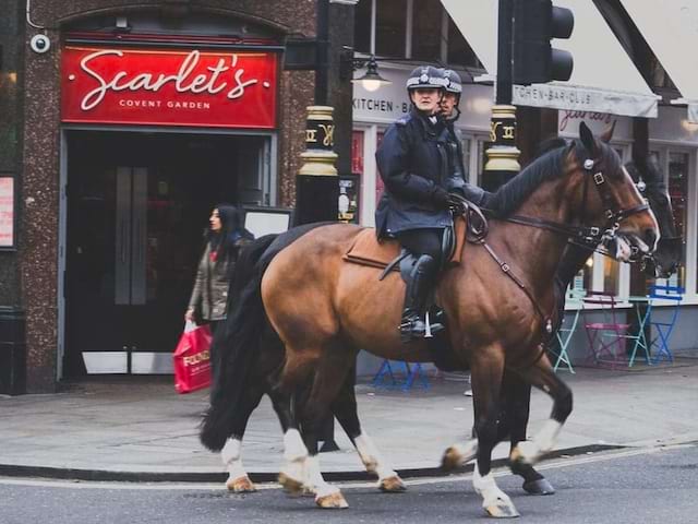 Vue sur des gardes londoniens à cheval lors d'une colonie de vacances