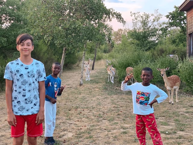 Enfants en colo au parc à biches