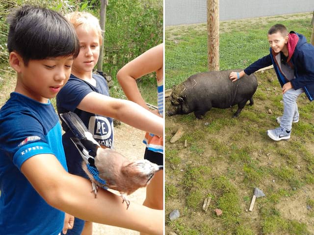 Enfants en contact avec les animaux au Futuroscope 