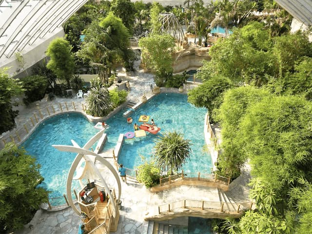 Vue sur le bassin de Center Parcs où profite les jeunes en colo de vacances cet automne